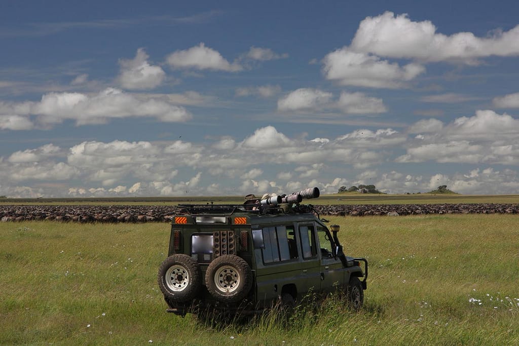 Wildlife Viewing in Uganda Secrets