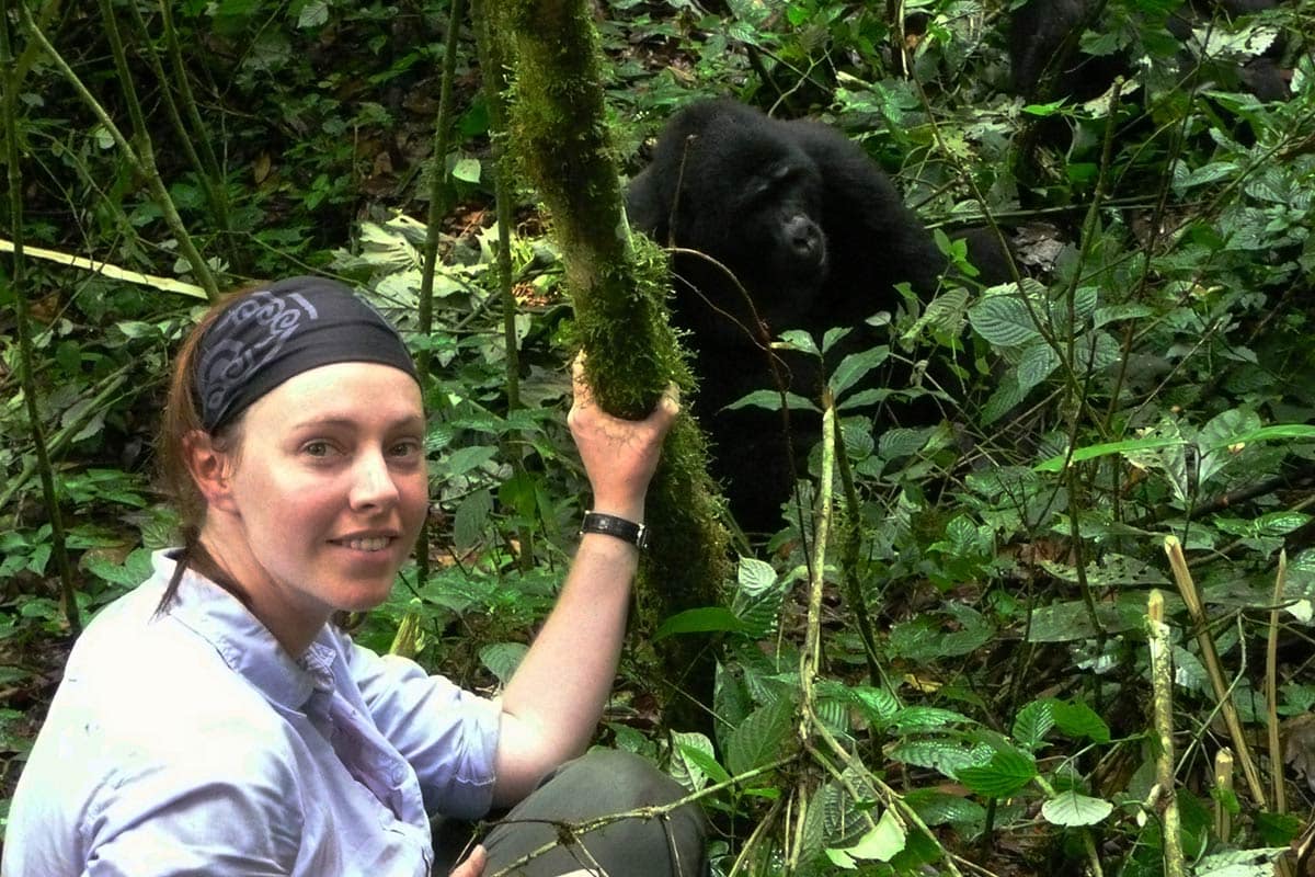 The gorilla trek experience