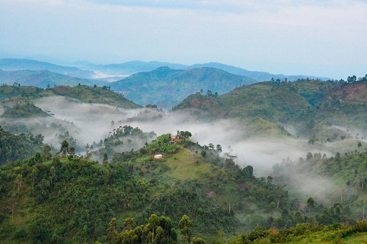 Bwindi Impenetrable National Park in Uganda.